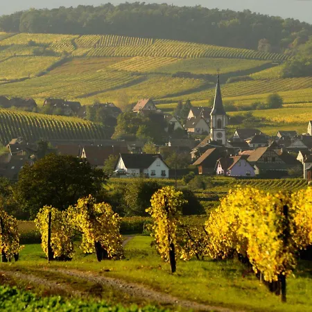 Le Cigogneau-studio Alcove Au Calme Apartment Sainte-Croix-en-Plaine